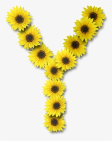 Sunflower Letter Y, HD Png Download, Free Download