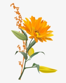 Free Download Of Sunflower Icon Clipart - Transparent Background Orange Flower Png, Png Download, Free Download