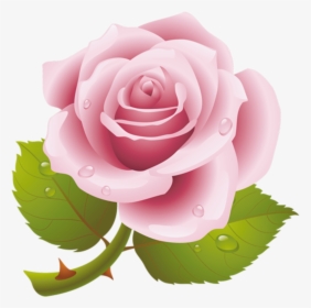 Rosas Rosa Png With Transparent Background - Rosas Rosa Png, Png Download, Free Download