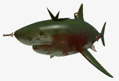 March Of The Dead Wiki - Great White Shark, HD Png Download, Free Download
