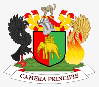 Coat Of Arms Of Coventry City Council - County Coat Of Arms, HD Png Download, Free Download