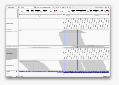 Screenshot, HD Png Download, Free Download