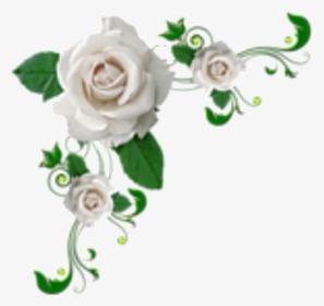White Rose Corner Clipart - White Flower Corner Png, Transparent Png, Free Download