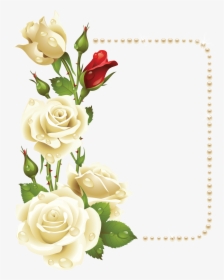 Pin By Людмила On Рамки - White Roses Corner Border, HD Png Download, Free Download