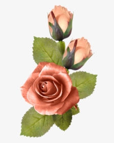 Rose Corner Png, Transparent Png, Free Download