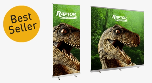 Arrow Print Pull Up Banner - Lesothosaurus, HD Png Download, Free Download