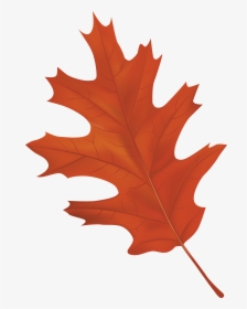 Autumn Leaf Clipart Png, Transparent Png, Free Download