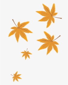 Autumn Leaves Png Vector Material Png Download - Transparent Fall Leaf Vector, Png Download, Free Download