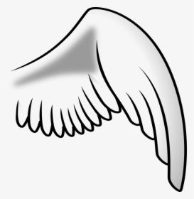 Wing, Angel, Right, Chicken - Right Angel Wing Png, Transparent Png, Free Download