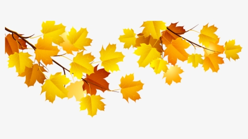Autumn Png Image - Autumn Tree Branch Png, Transparent Png, Free Download