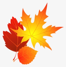 Autumn Leaf Clipart - Transparent Background Fall Leaves Clip Art, HD Png Download, Free Download