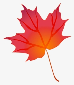 Transparent Thanksgiving Leaves Png - Transparent Background Fall Leaf Clipart, Png Download, Free Download