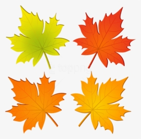 Free Png Set Of Autumn Leaves Png Png Images Transparent - Autumn Leaf Clipart Png, Png Download, Free Download