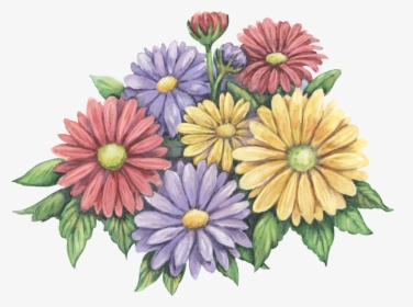 African Daisy, HD Png Download, Free Download