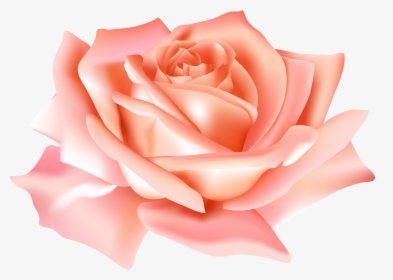 Peach Flower Clipart Mexican Flower - Transparent Background Blue Rose Png, Png Download, Free Download