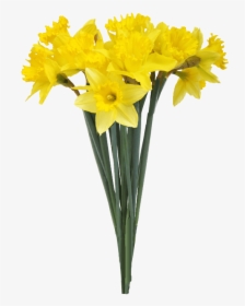 Spring Daffodils Transparent Background - Flower Bouquet Transparent Background, HD Png Download, Free Download
