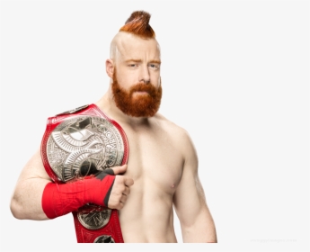 Transparent Cesaro Png - Hardy Boyz Vs Sheamus And Cesaro, Png Download, Free Download