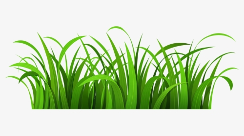 Cartoon Grass - Clipart Library - Transparent Background Grass Clipart, HD Png Download, Free Download