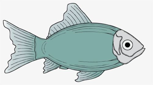 Fish Clipart, HD Png Download, Free Download