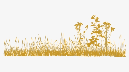 Png Grass All Hd, Transparent Png, Free Download