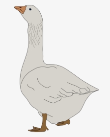 Goose Clipart Clip Art - Goose Clipart, HD Png Download, Free Download