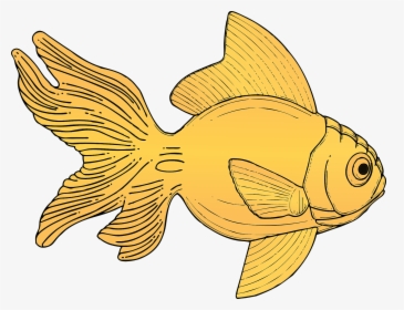 Gold, Fish, Aquarium, Goldfish, Fins, Swimming, Fresh - Gold Fish Clip Art, HD Png Download, Free Download