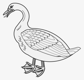 Transparent Goose Head Png - Goose, Png Download, Free Download