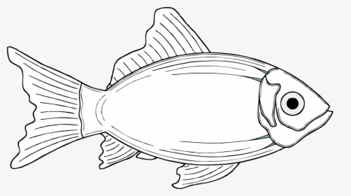 Transparent Fish Fins Png - Gambar Ikan Laut Animasi, Png Download, Free Download