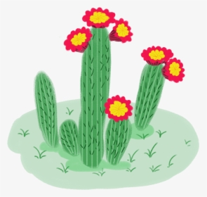 Flower Plant Top View Png - Hedgehog Cactus, Transparent Png, Free Download