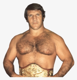 Bruno"   Class="img Responsive Owl First Image Owl - Bruno Sammartino Png, Transparent Png, Free Download