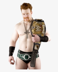 Image result for sheamus wwe champion 2010