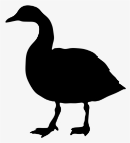 Png Images Free Download - Goose Silhouette Transparent Background, Png Download, Free Download