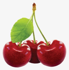 Cherry Fruit Png Image - Cherry Fruit Png, Transparent Png, Free Download