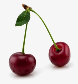 Cherries Png Image - Free Cherry, Transparent Png, Free Download