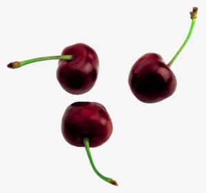 Cherries Black - Black Cherry Png, Transparent Png, Free Download