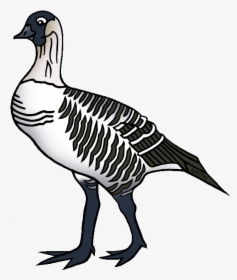 Nene Frames Illustrations Hd - Hawaii State Bird Clipart, HD Png Download, Free Download