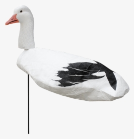 White Rock Decoys, HD Png Download, Free Download