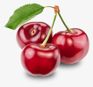 Cherries Png Image - Cherry Png, Transparent Png, Free Download