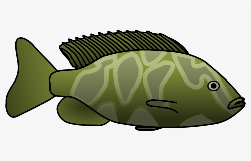 Cichlid Clipart, HD Png Download, Free Download
