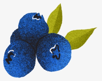 Fruit4 - Seedless Fruit, HD Png Download, Free Download