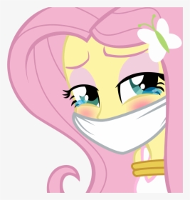 Fluttershy My Little Pony Kidnapped, HD Png Download, Free Download