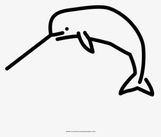Coloring Ideas Narwhal Coloring Pictures Ideas Page - Coloring Book, HD Png Download, Free Download