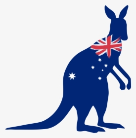 Australian Kangaroo Png, Transparent Png, Free Download