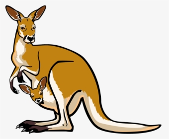 And Joey - Kangaroo Clipart, HD Png Download, Free Download