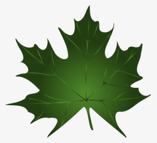 Leaves Pumpkin Leaf Images Free Download Png Clipart - Maple Leaf Vector Green, Transparent Png, Free Download