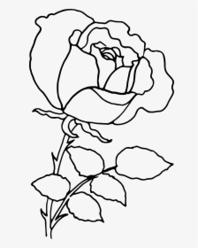 Png Rose Outline Transparent Rose Outline Images - Outline Image Of Rose, Png Download, Free Download