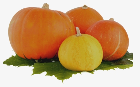 Pumpkin, Thanksgiving, Vegetable, Leaf, Harvest - Transparent Pumpkin, HD Png Download, Free Download