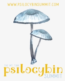 Psilocybin Summit - Agaricus, HD Png Download, Free Download