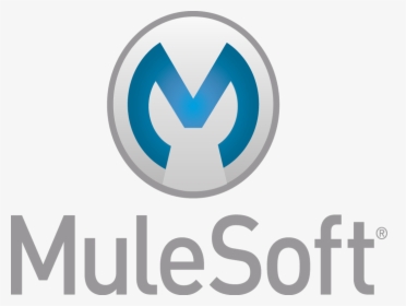 Best Practices For Mule Project - Mulesoft, HD Png Download, Free Download