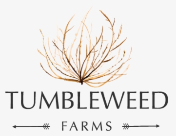 Tumbleweed Farms - Arjo Wiggins, HD Png Download, Free Download